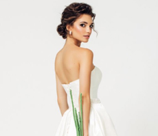 icon-img